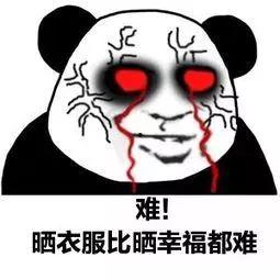 娱乐吃瓜酱停止熬夜,娱乐吃瓜酱开启健康生活新篇章